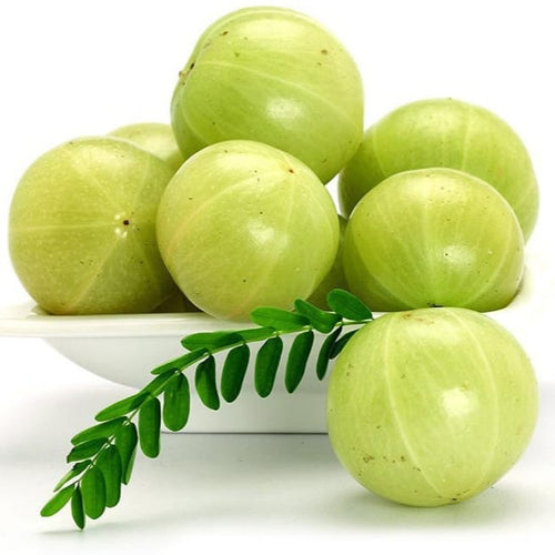 Amla - Big Gooseberry