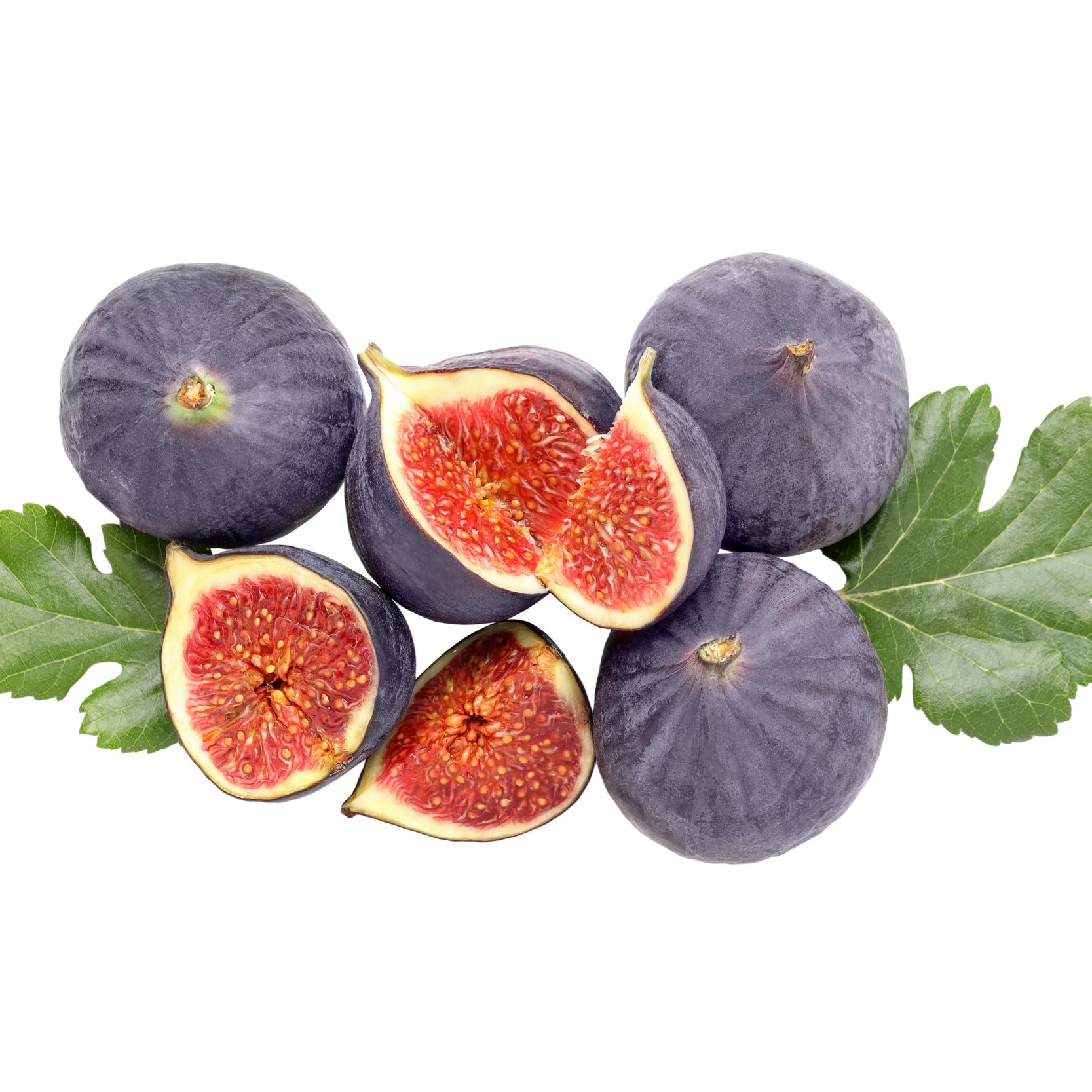Fig