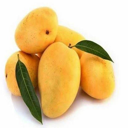 Kesar Mango