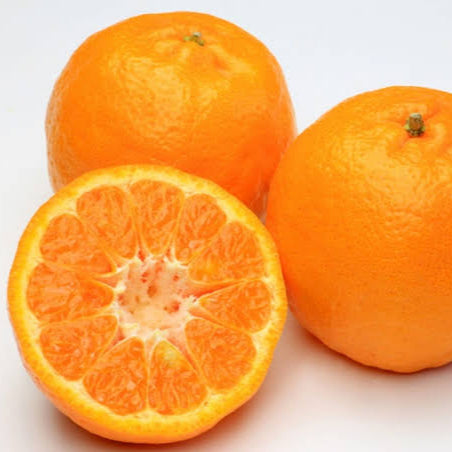 Mandarin Citrus Orange
