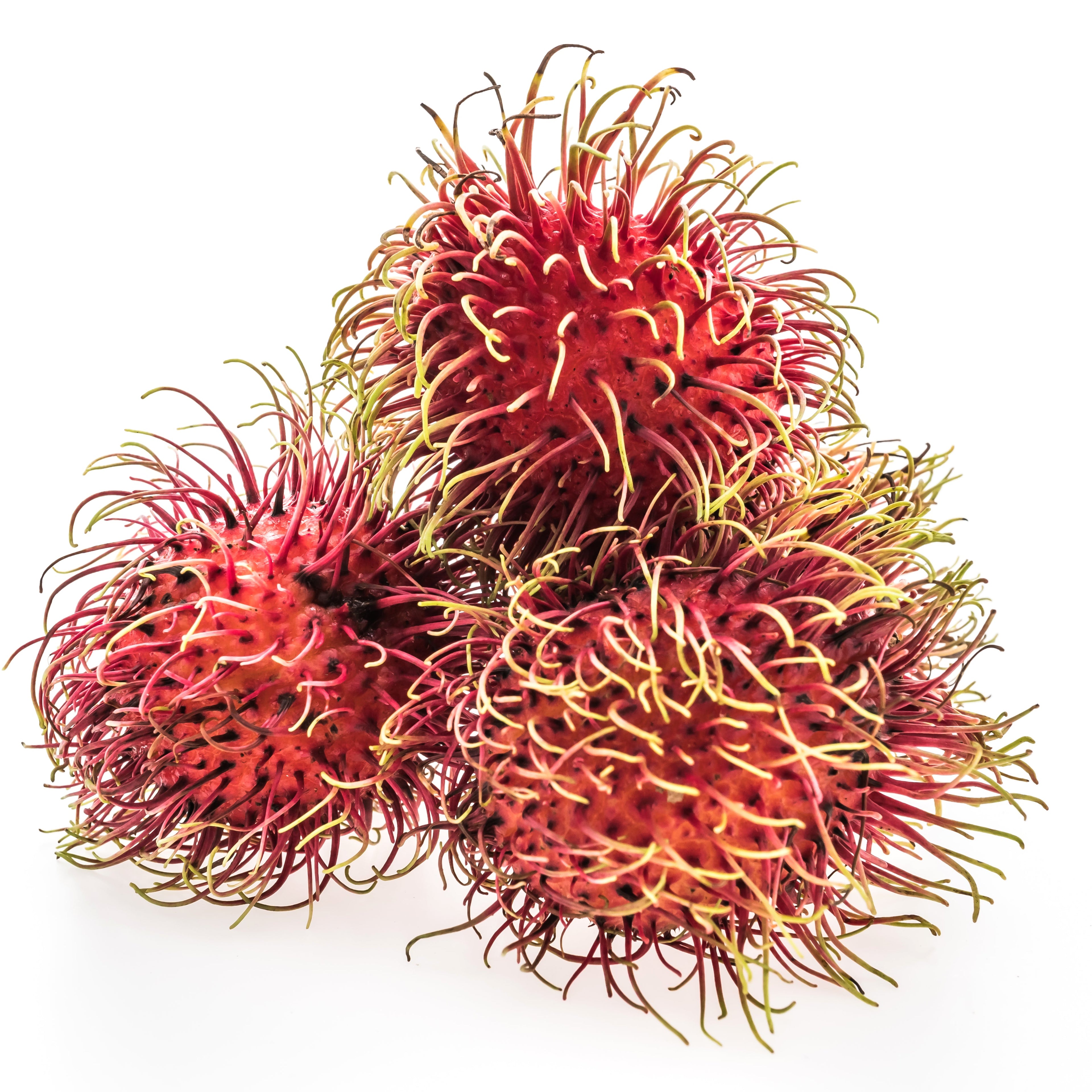 Rambutan