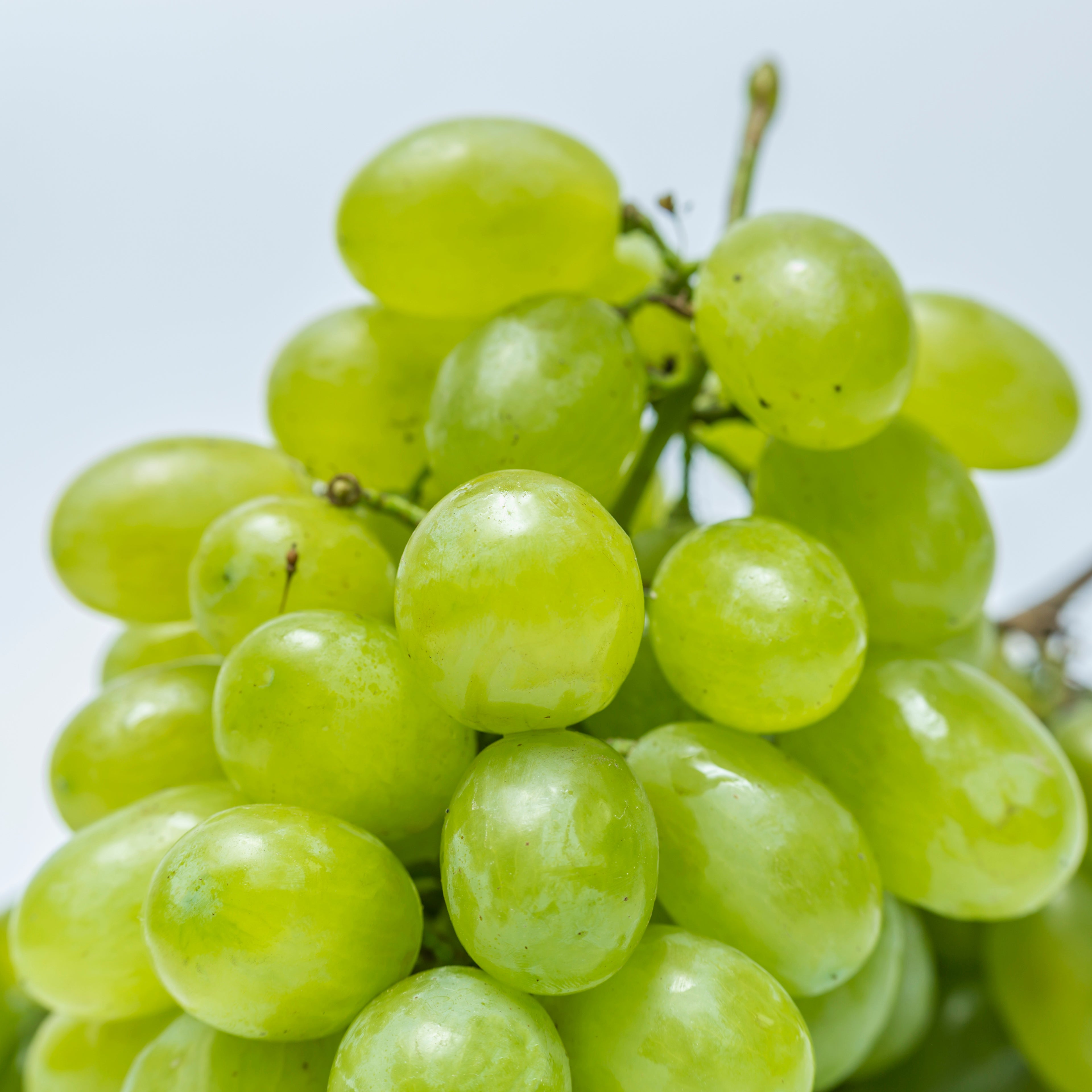 Green Grapes - Seedless